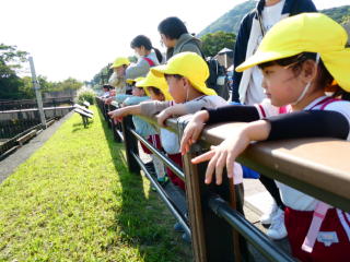 �e�q����