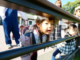 �e�q����