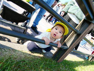 �e�q����