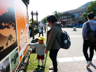 �e�q����