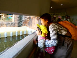 �e�q����