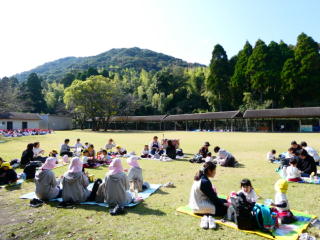 �e�q����