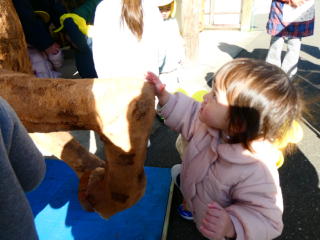 ���x�̐��앨���w