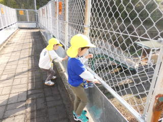 ���ʂꉓ��