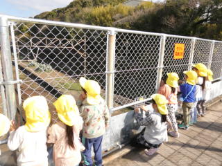 ���ʂꉓ��