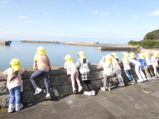 ���ʂꉓ��